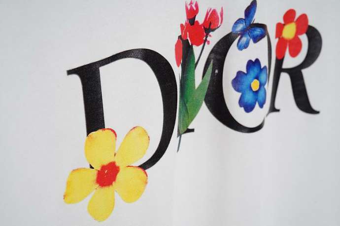 Dior T Shirts Short _SKUDiorS-XXLQ67533827